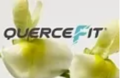 INDENA 天然槲皮素 Quercefit®，抵御病毒的新选择