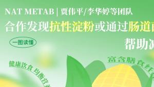 一图读懂 | NAT METAB-贾伟平/李华婷等团队合作发现抗性淀粉或通过肠道菌群帮助减肥