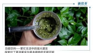 功能饮料——繁忙生活中的强大盟友，探索拉丁美洲果实与草本植物的无限可能