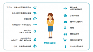 Gut Microbes：菊粉又一健康益处被发现！通过调节肠道菌群和代谢物改善多发性硬化症