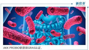 AKK PROBIO斩获双GRAS认证，开启新一代益生菌安全应用新时代